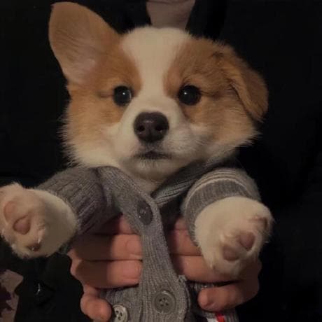 literature-engineer avatar