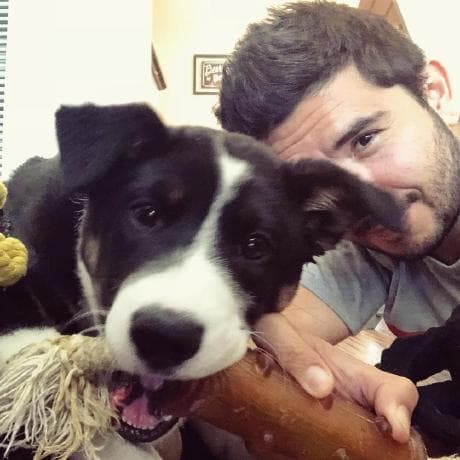 book-illustrator avatar