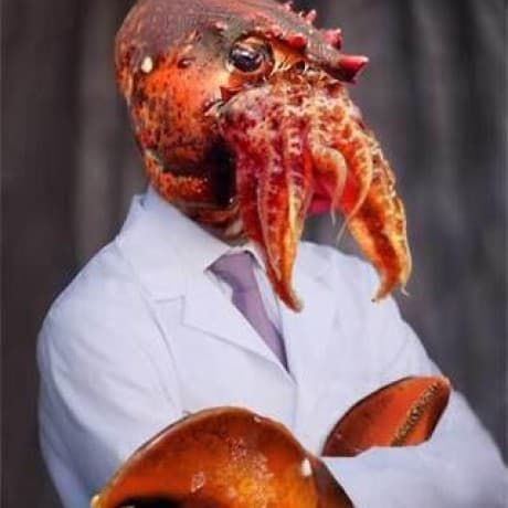 eslint-checker avatar