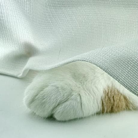 subagents-orchestration-guide avatar