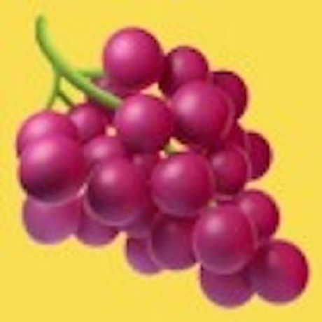 test-delete-skill avatar