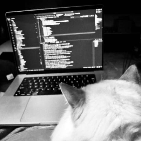 api-security avatar
